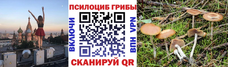 Купить закладки  Пугачёв  Псилоцибиновые грибы Magic Shrooms 