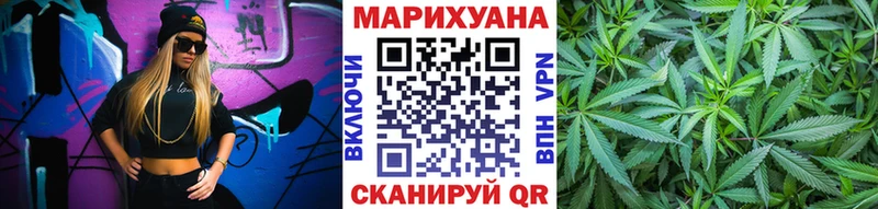 Купить  Пугачёв  Бошки Шишки план 